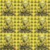 Blotter Art Yoda Remix yellow 9 panels