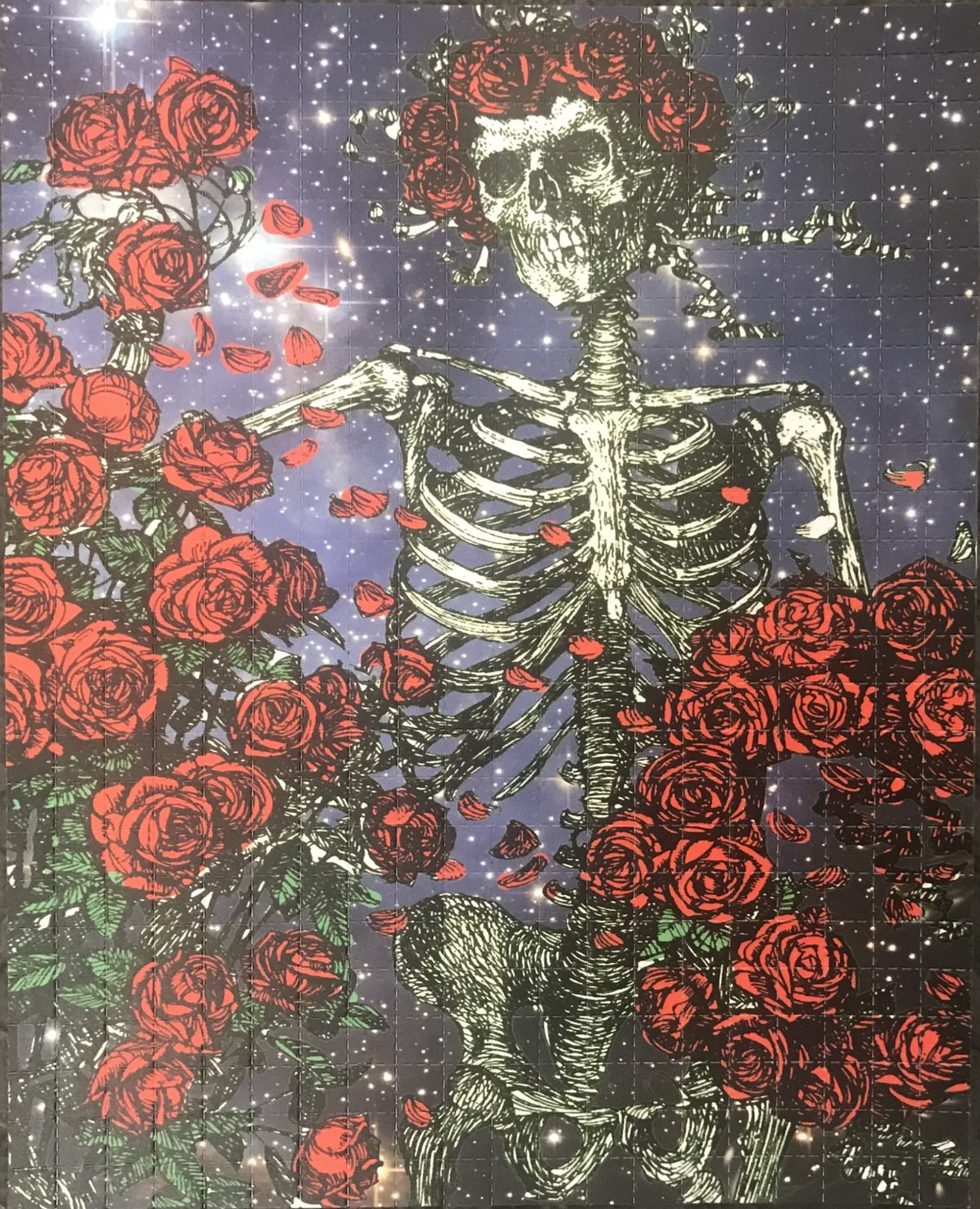 Skeleton and roses