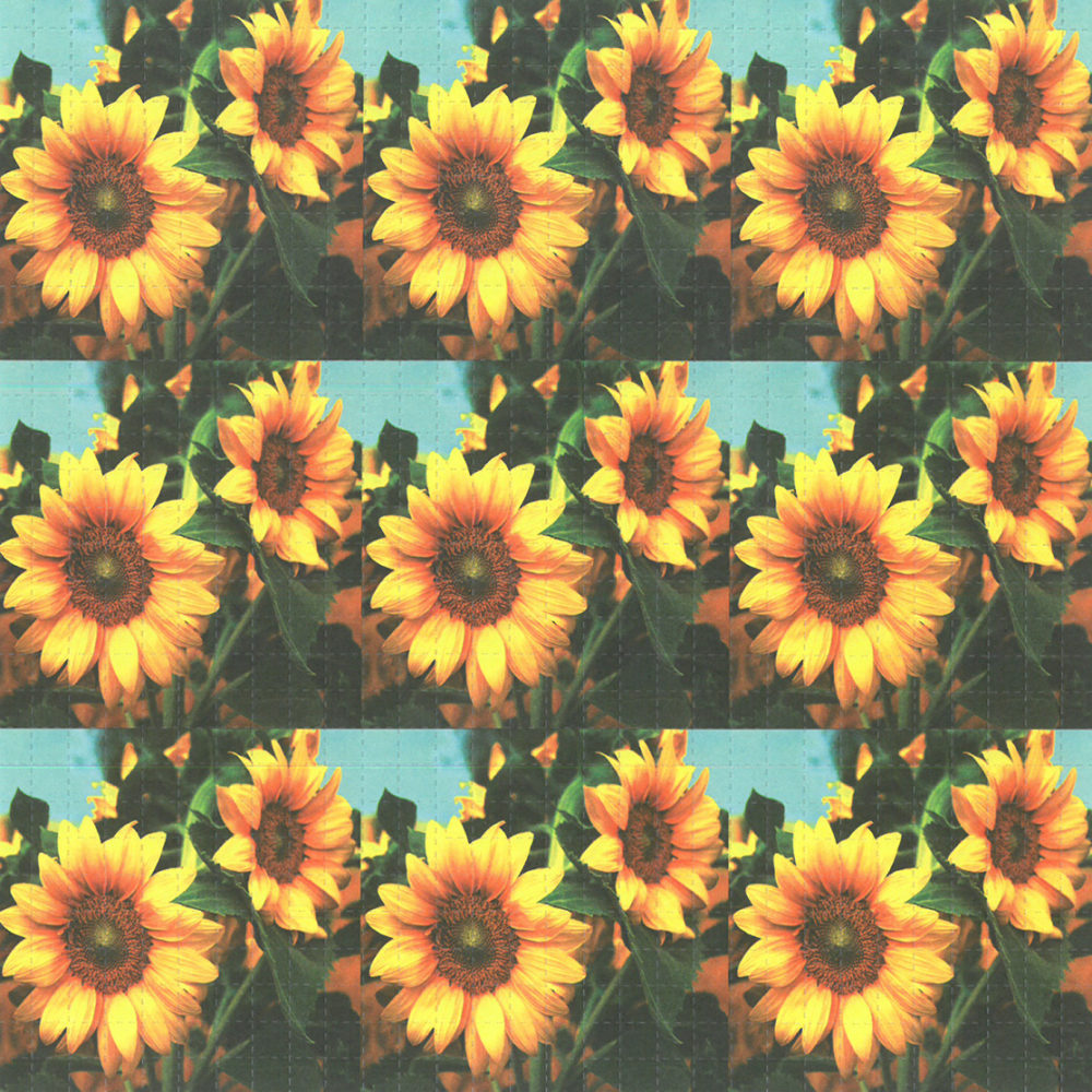 Sun Flowers 9 Panel