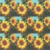 Sun Flowers 9 Panel