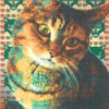 Yello cat
